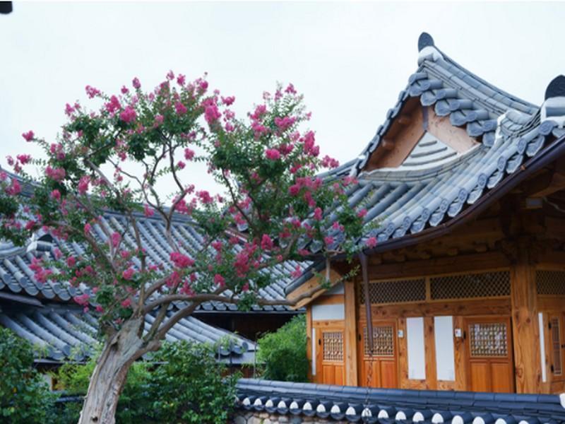 Dajeong Guesthouse Чонджу Екстер'єр фото